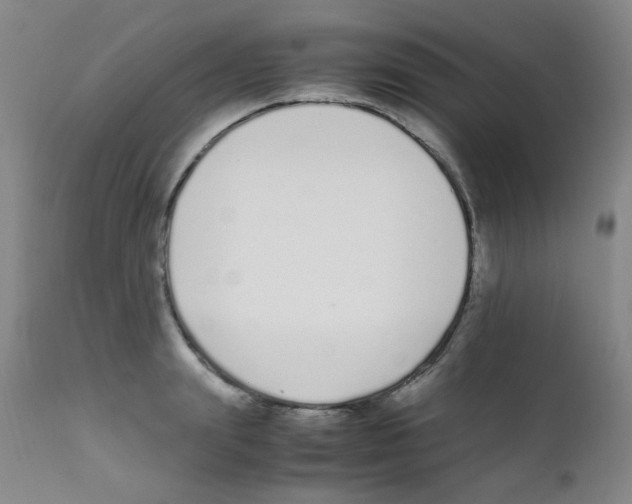 X0000111850847200909031725