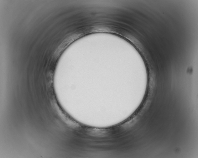 X0000111850849200909031725