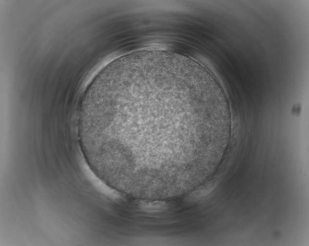 X0000111850851200909031725