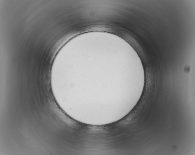 X0000111850852200909031725