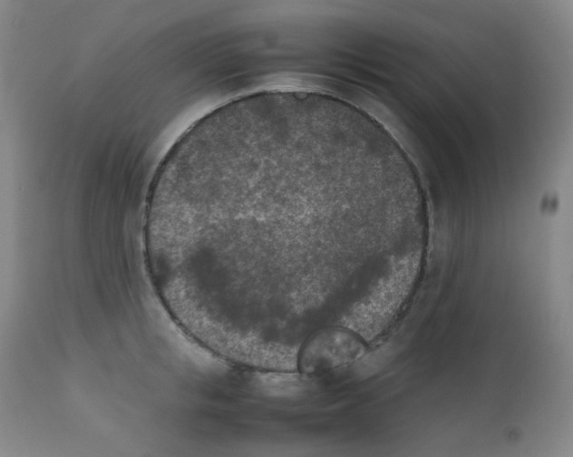 X0000111850853200909031725