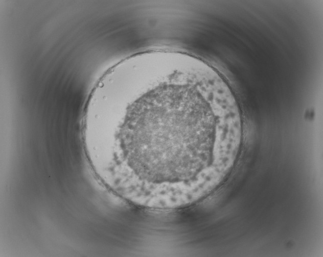 X0000111850856200909031725