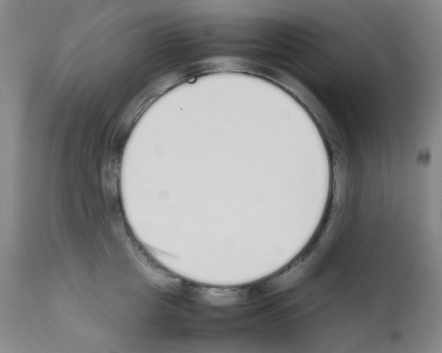 X0000111850857200909031725