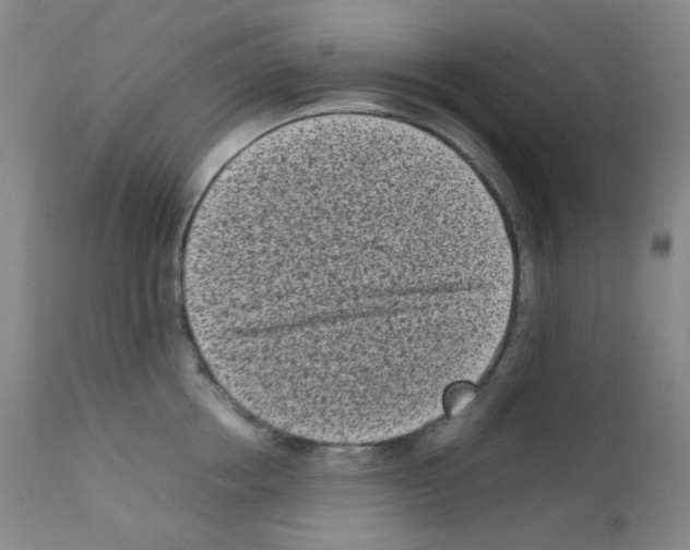 X0000111850858200909031725