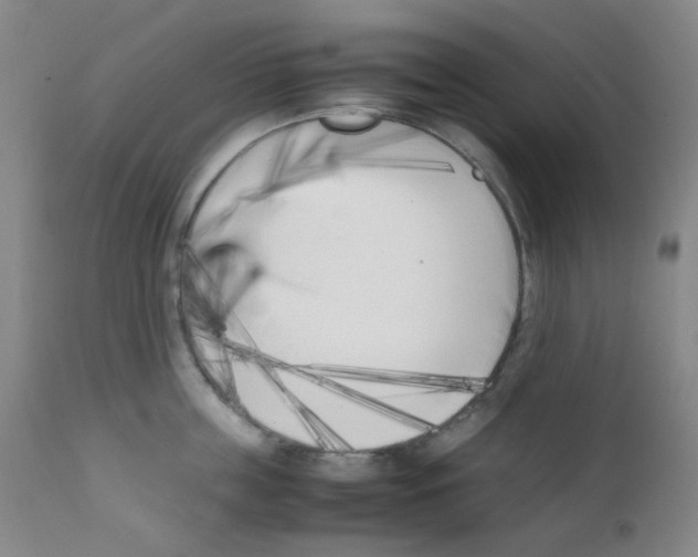 X0000111850859200909031725