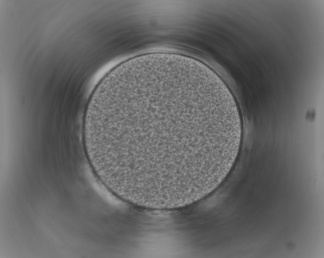 X0000111850862200909031725