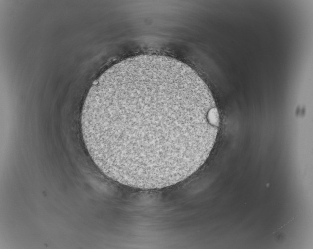 X0000111850865200909031725