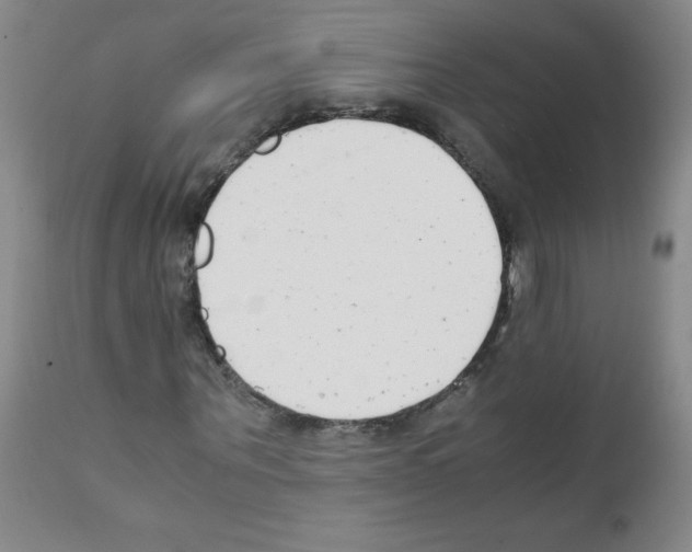 X0000111850867200909031725