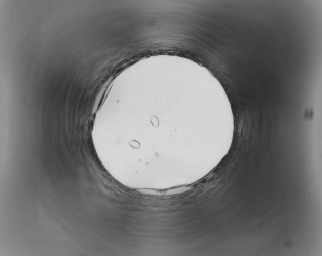 X0000111850868200909031725