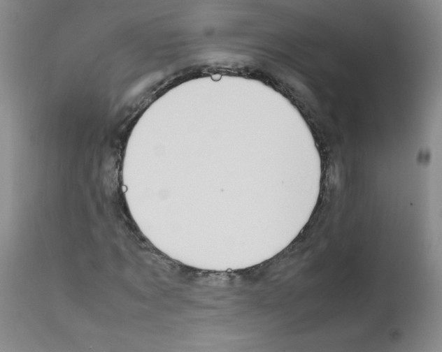 X0000111850869200909031725