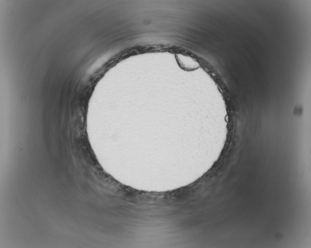 X0000111850871200909031725