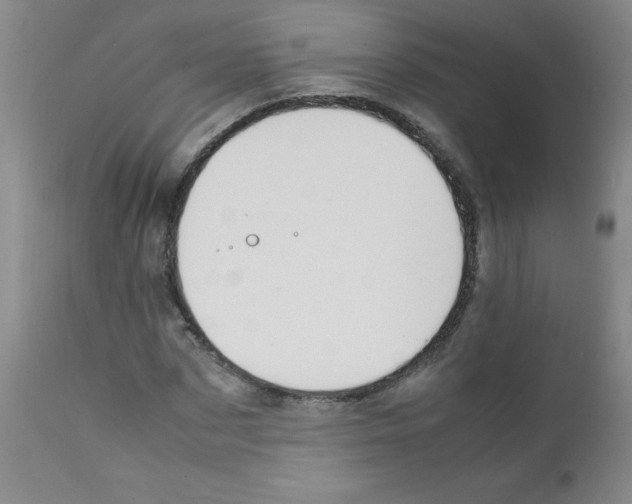 X0000111850873200909031725