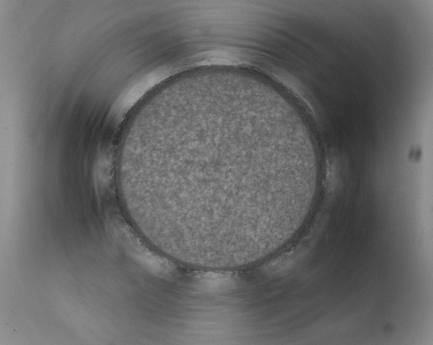 X0000111850874200909031725