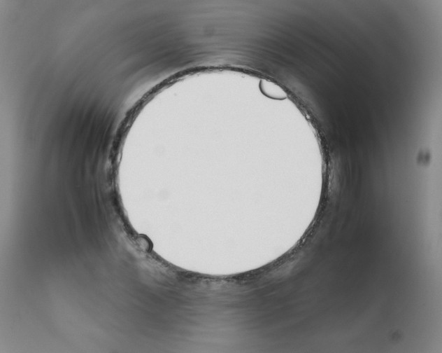 X0000111850876200909031725