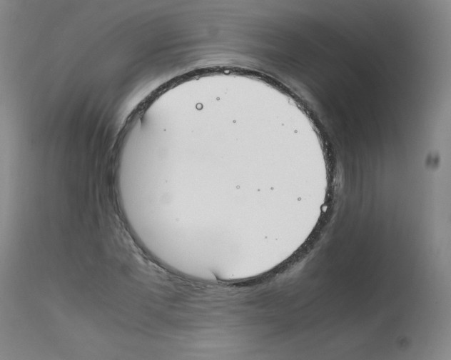 X0000111850877200909031725