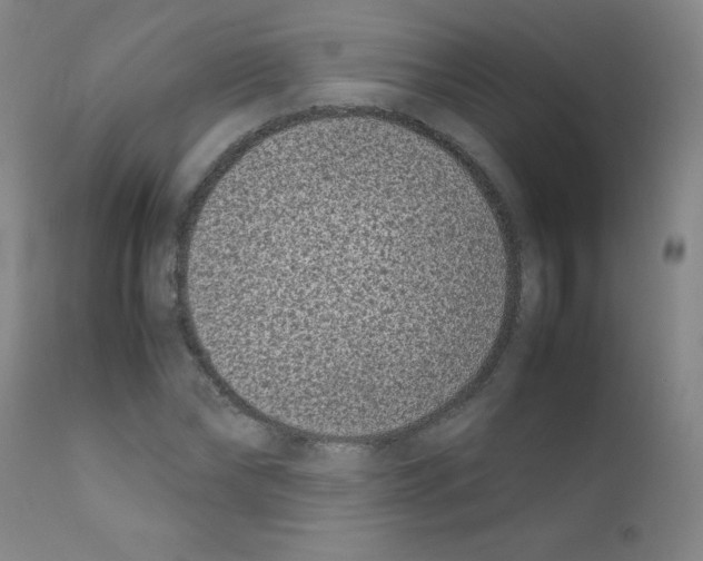 X0000111850878200909031725
