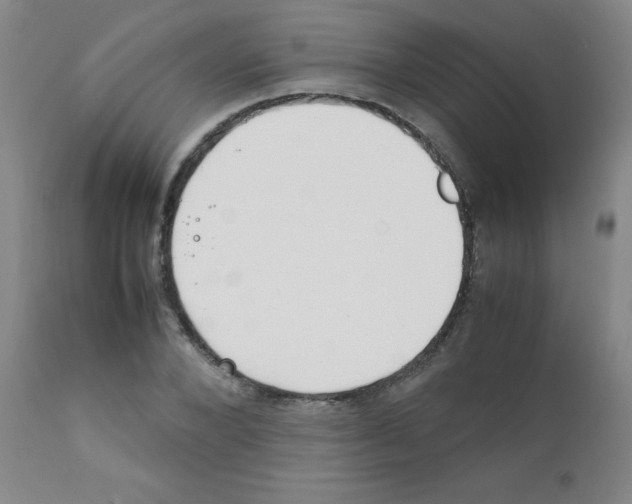 X0000111850880200909031725