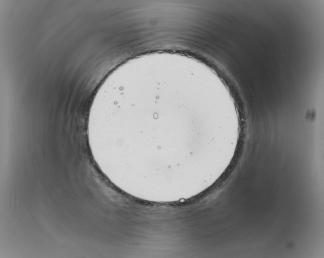 X0000111850881200909031725