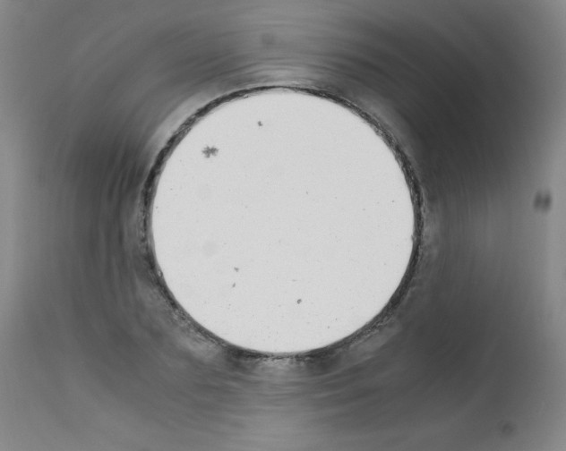 X0000111850883200909031724