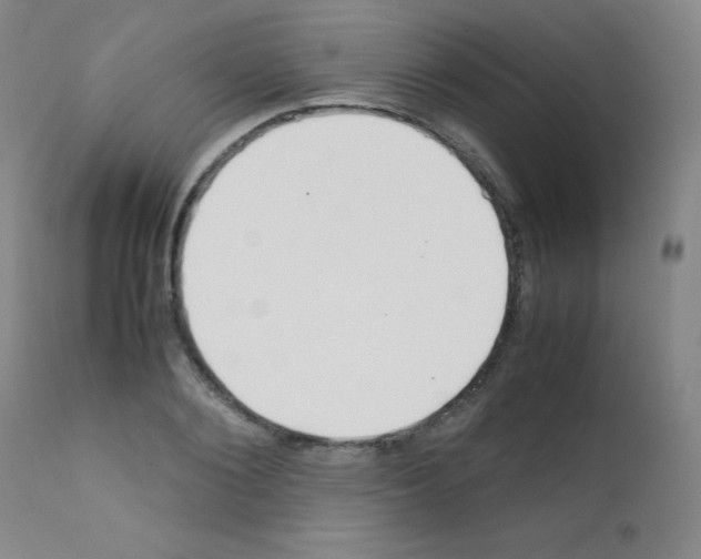 X0000111850884200909031724
