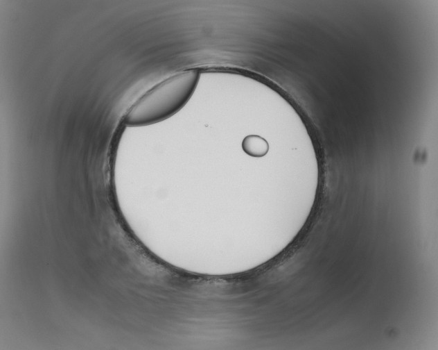 X0000111850885200909031724