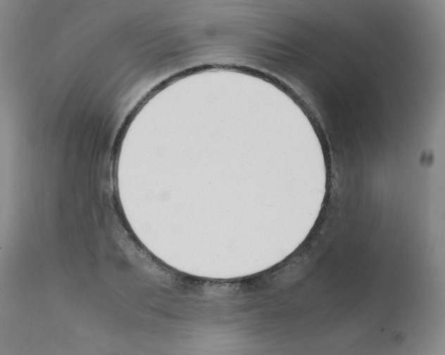 X0000111850887200909031724