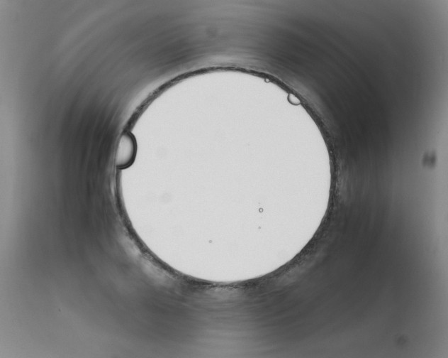 X0000111850888200909031724