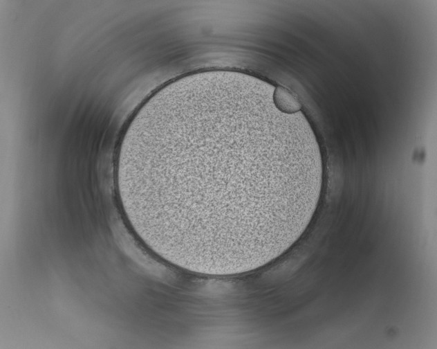 X0000111850890200909031724