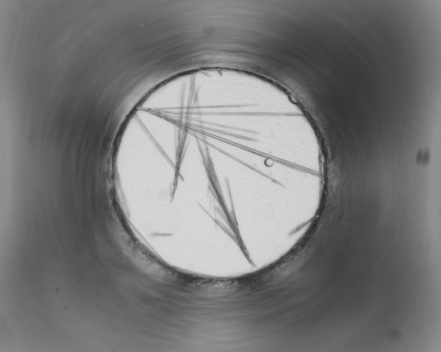 X0000111850891200909031724