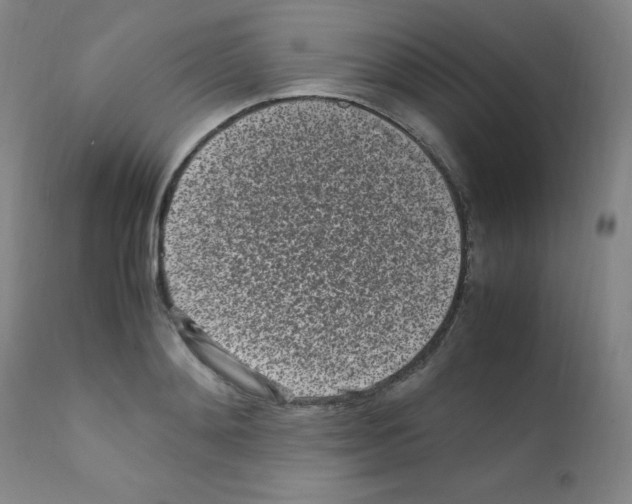 X0000111850892200909031724