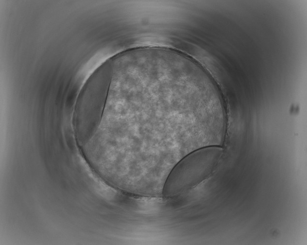 X0000111850893200909031724