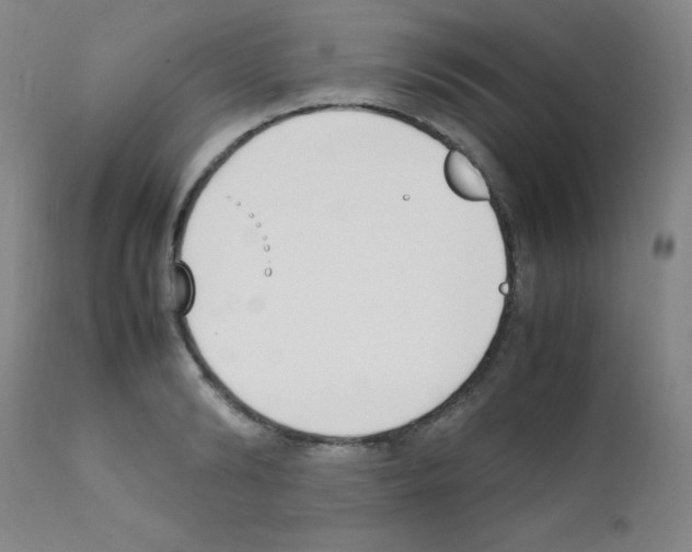 X0000111850894200909031724