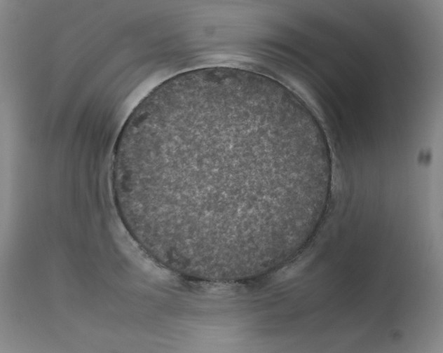 X0000111850899200909031724