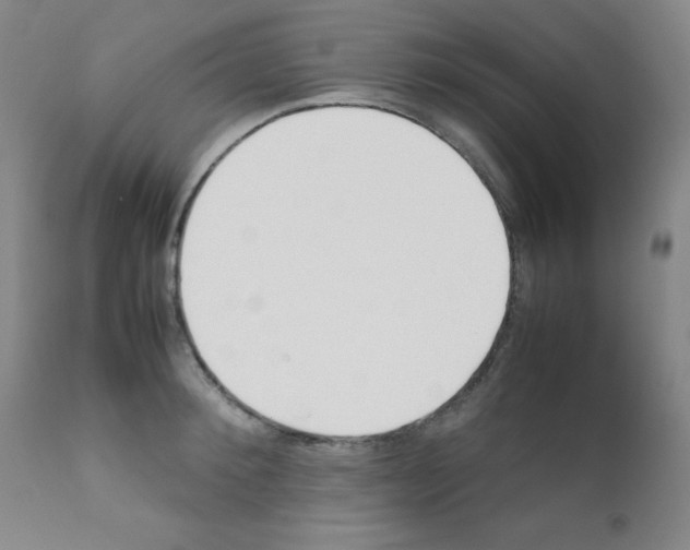 X0000111850900200909031724