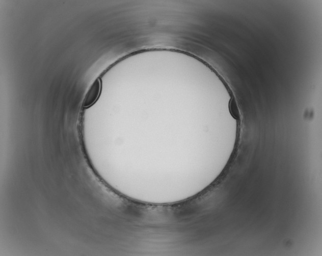 X0000111850901200909031724