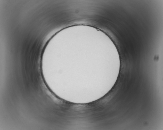 X0000111850902200909031724