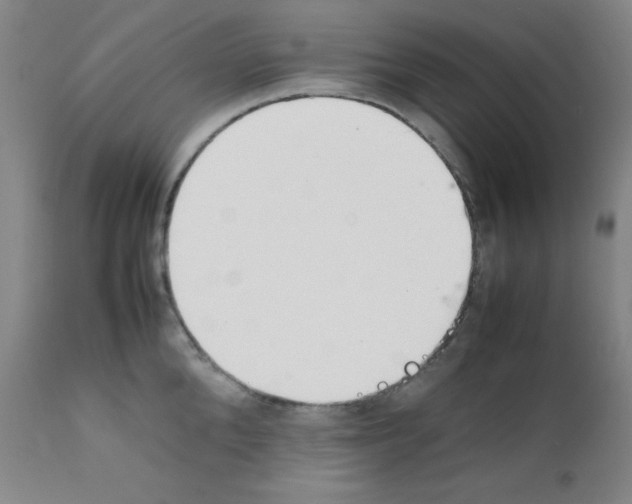 X0000111850904200909031724