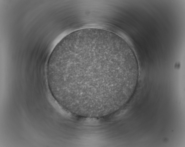 X0000111850907200909031724