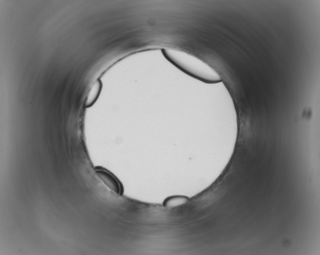 X0000111850908200909031724