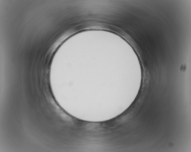 X0000111850909200909031724