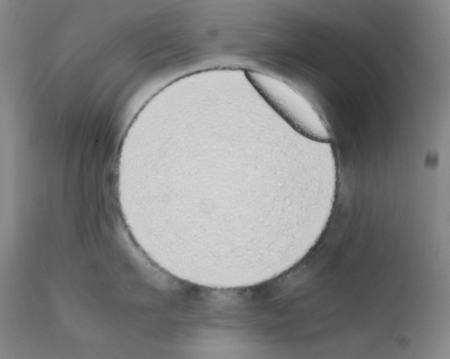 X0000111850911200909031724
