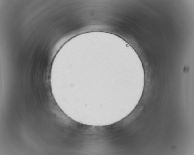 X0000111850912200909031724