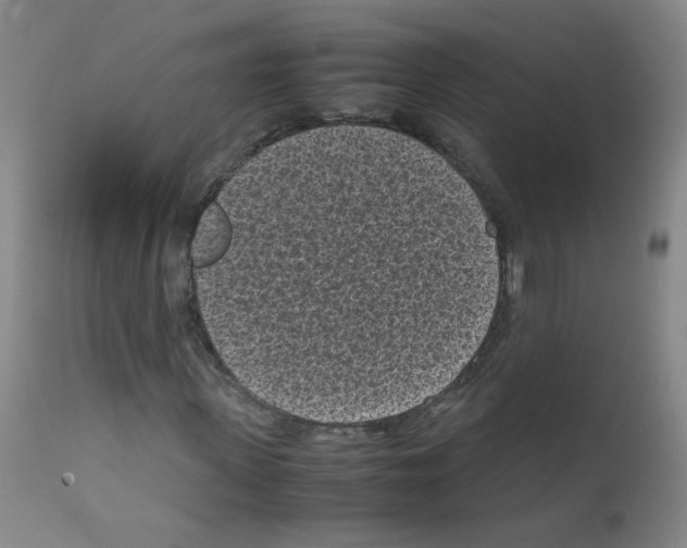 X0000111850915200909031723