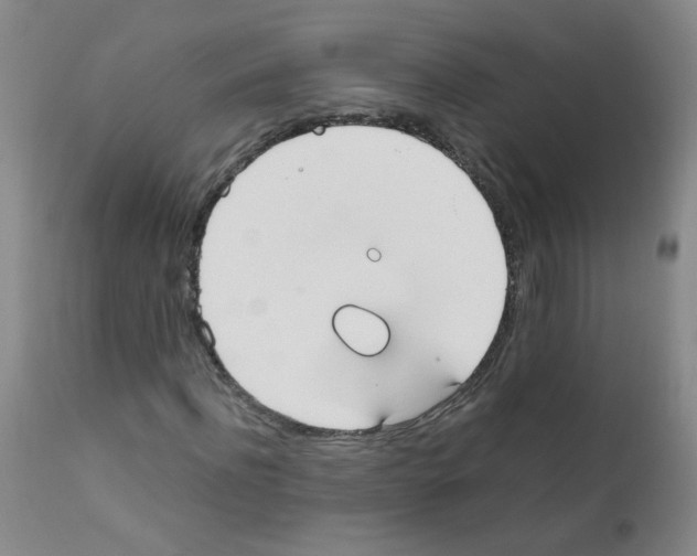 X0000111850916200909031723