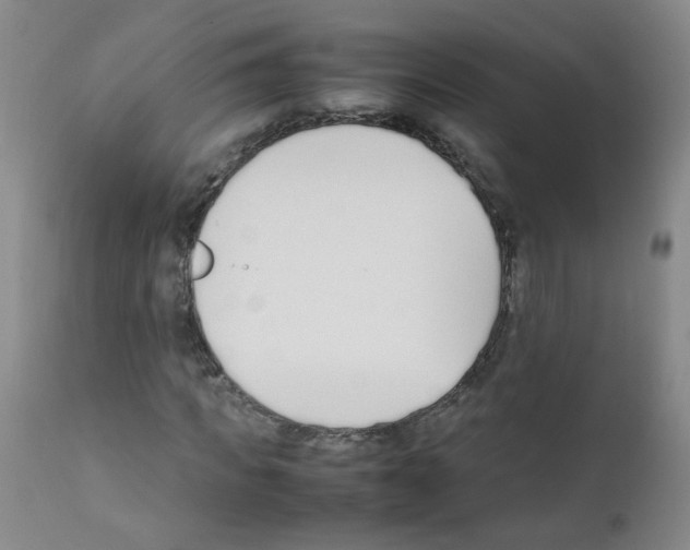 X0000111850917200909031723