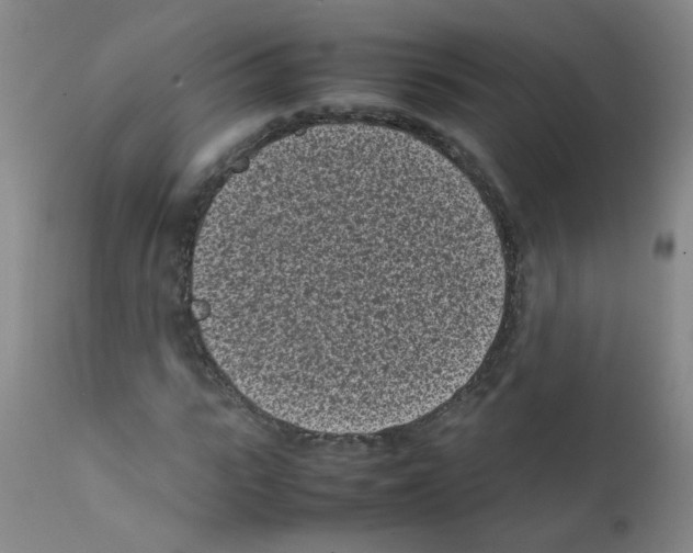 X0000111850919200909031724
