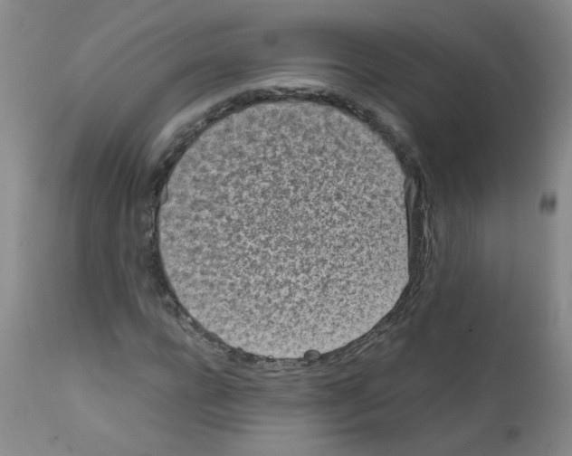 X0000111850920200909031724
