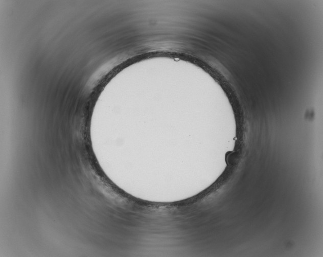 X0000111850922200909031724