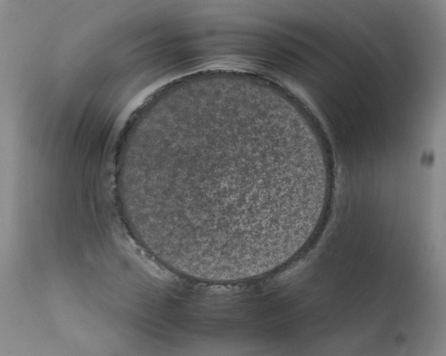 X0000111850923200909031724