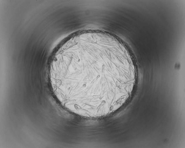 X0000111850925200909031724